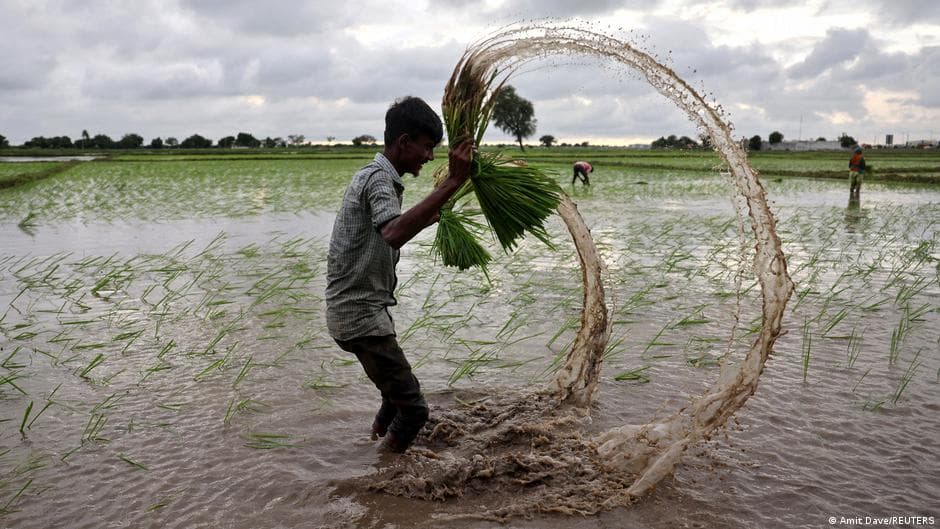 Impact of Iran and Ukraine Conflicts, Along with El Nino, on Global Hunger