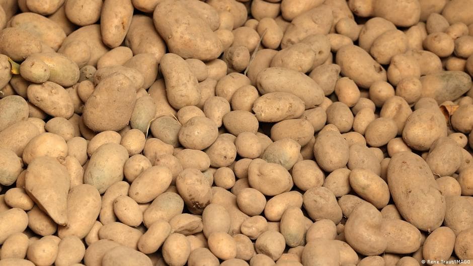 4 million kilos of potatoes given away for free in Berlin
