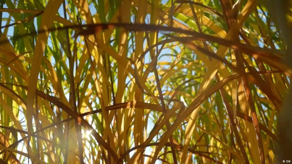 Innovative Climate Messaging Highlights Eco Achievements This Week