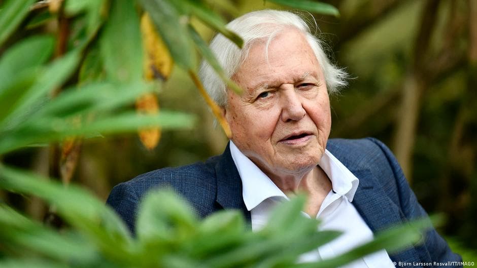Celebrated broadcaster and naturalist David Attenborough turns 100