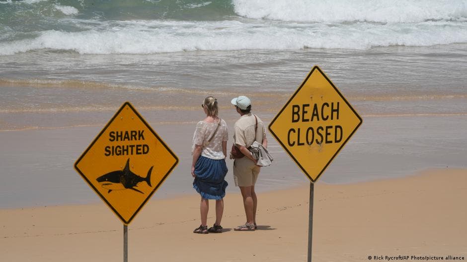 Australia hit by 4 shark attacks in 2 days