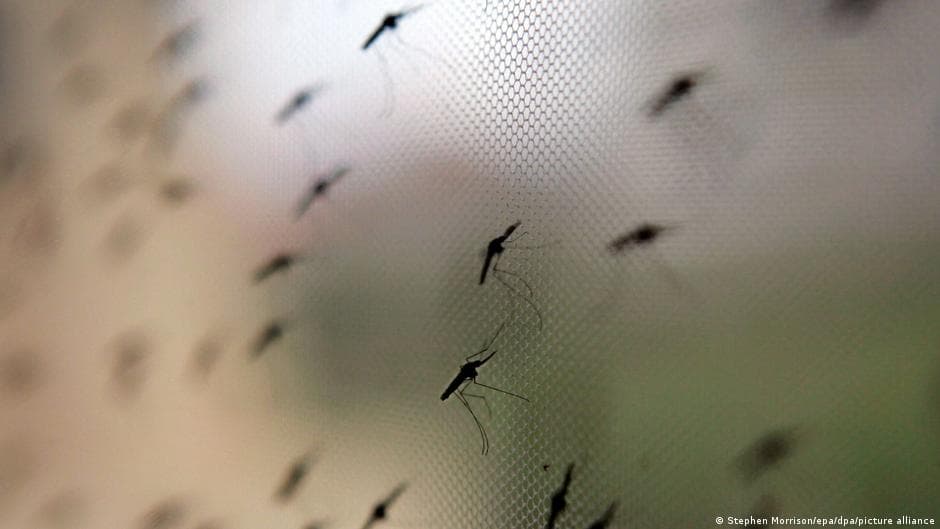 WHO approves first Malaria drug for babies