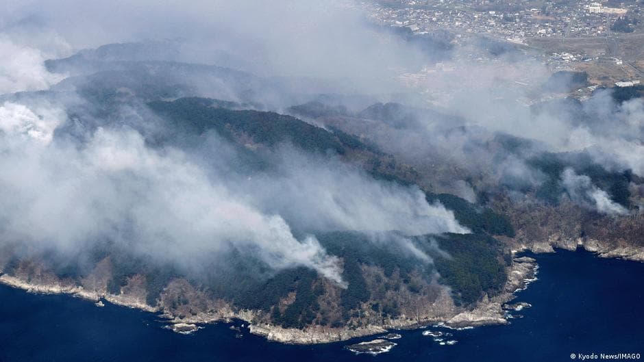 Japan: Raging wildfires cause mass evacuations