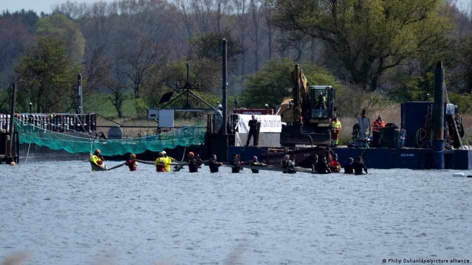 Germany: Stranded whale 'Timmy' being transported towards ocean in special barge