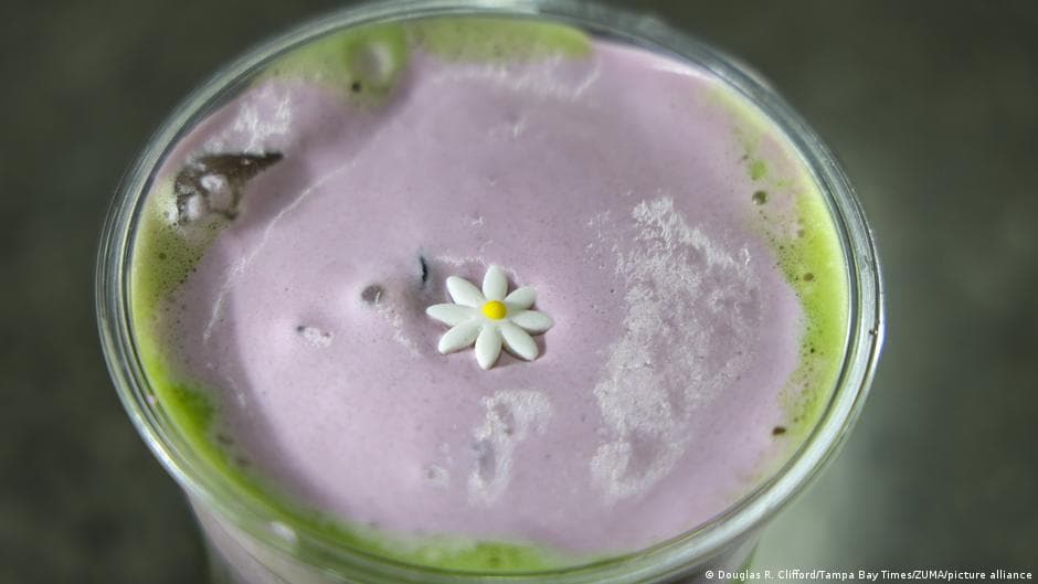 Philippine Farmers Strive to Meet Global Demand for Ube