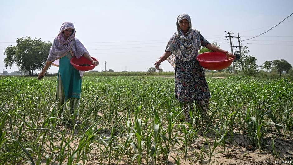 India Experiences Water and Power Challenges Due to Weak Monsoon