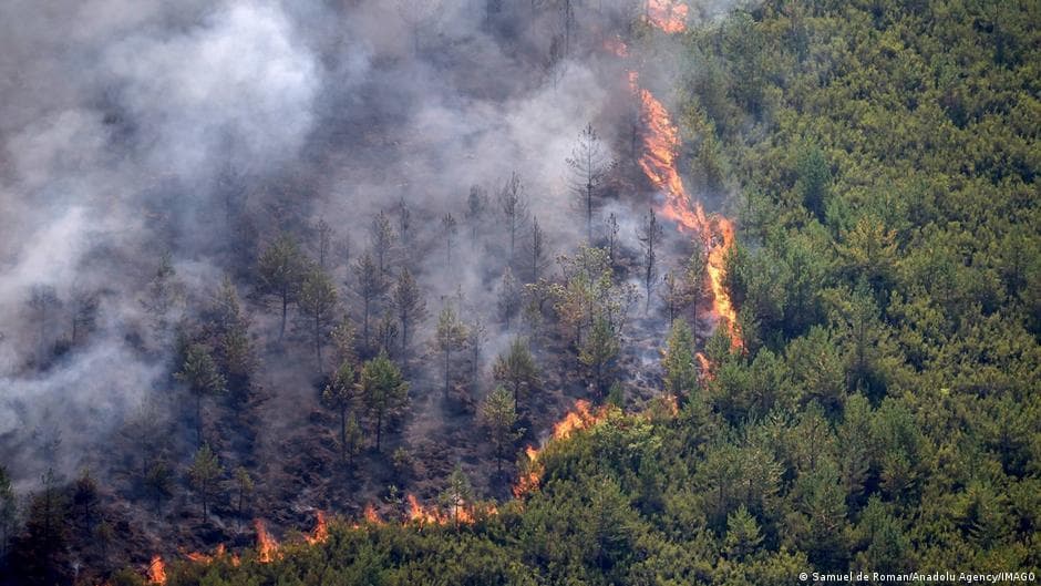 Spain Faces Deadly Wildfire as Heat Wave Intensifies Response Efforts