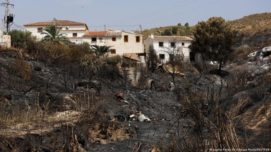 Firefighters Make Progress in Containing Deadly Wildfire in Southern Spain