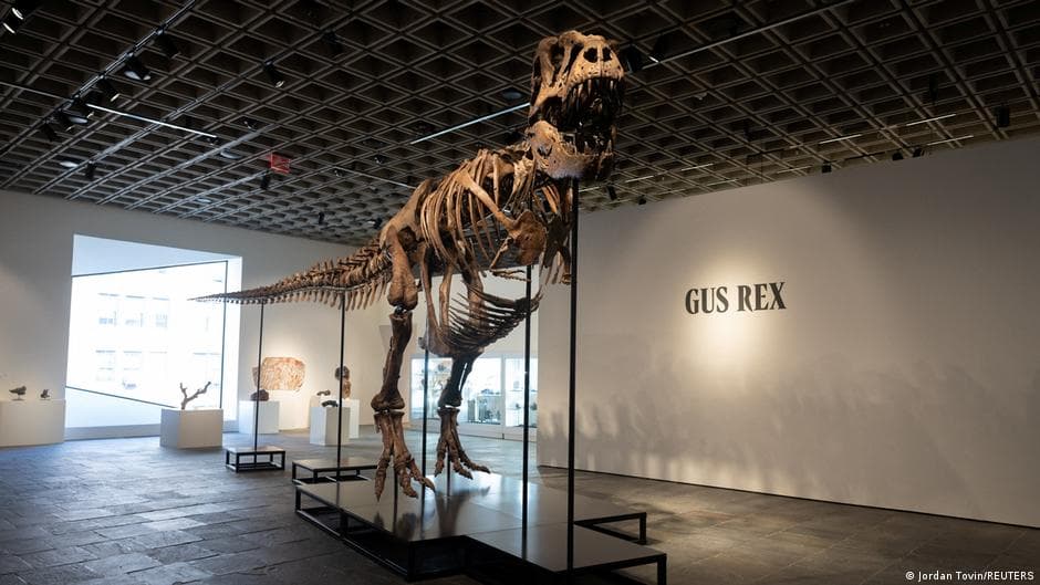 Tyrannosaurus rex skeleton 'Gus' fetches record $50.1 million at auction