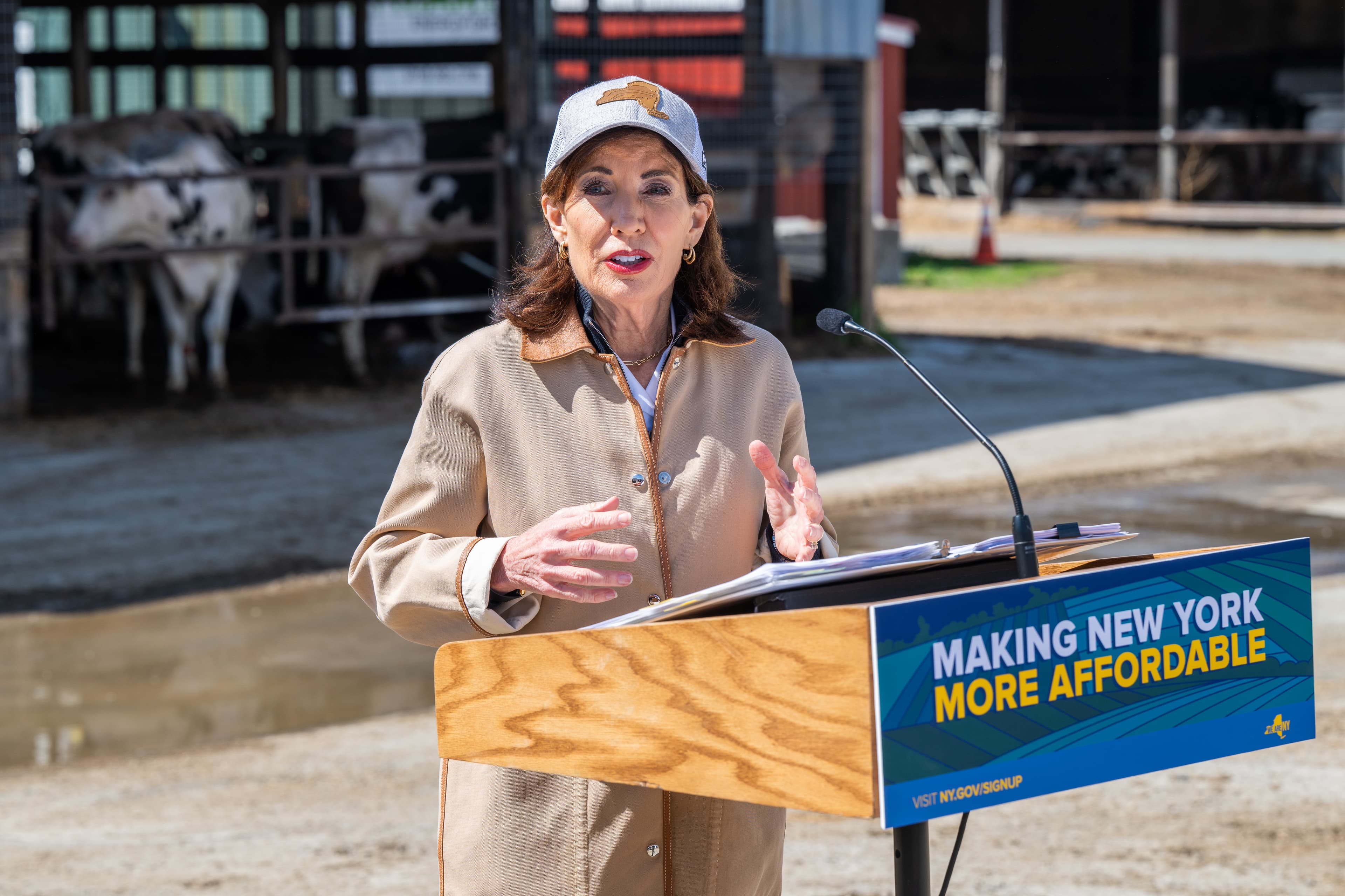 Hochul cinches budget deal to address costs, confront Trump