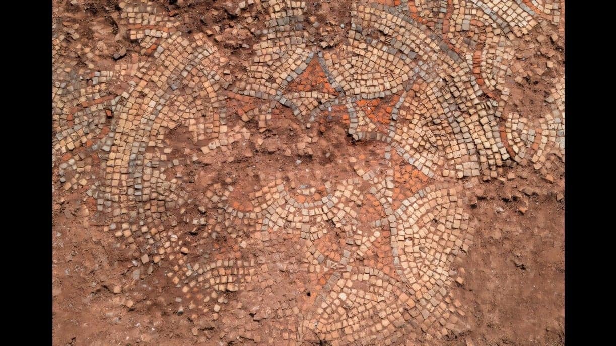 Devon'daki Roma villasındaki karmaşık mozaikler gün yüzüne çıkarıldı