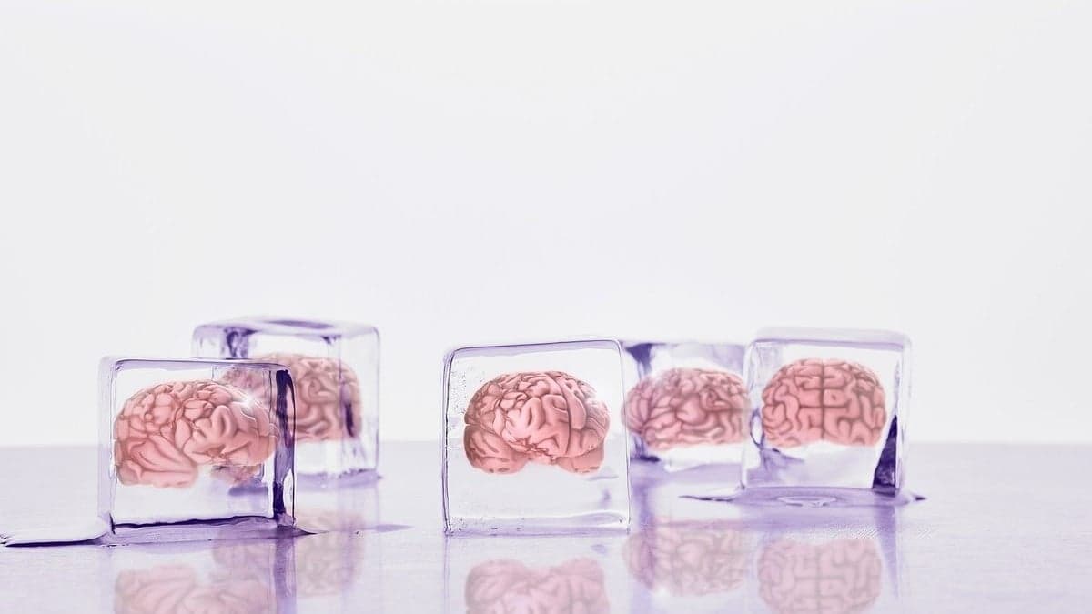 Kriyojenik Olarak Dondurulmuş Yaşamı Geri Getirmeye Çok Yakınız!