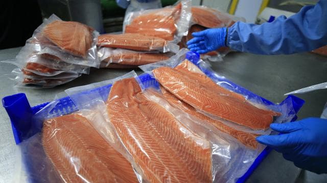 Su ürünleri ve hayvansal mamullerde ihracat çıtası yükseliyor