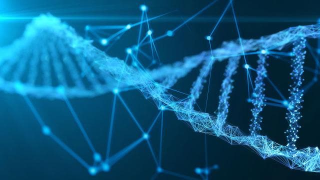 Kuzey Kutbu'nda kaybolan denizcilerin kimlikleri DNA ile belirlendi