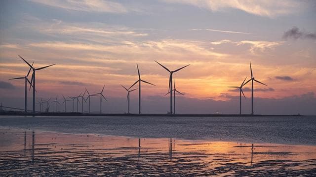 Türkiye'nin ilk deniz üstü rüzgar enerjisi yarışması başladı