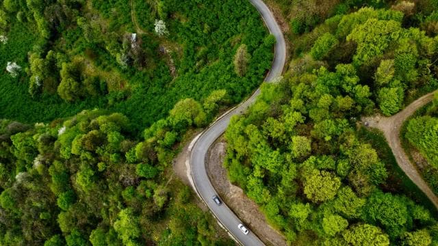 Kahramanmaraş'ta ormanlık alanlara girişler yasaklandı