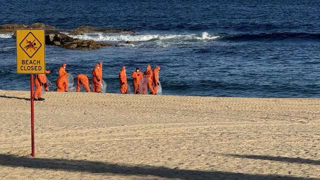 Avustralya'nın Sydney kentinde köpek balıkları 2 çocuğa saldırdı