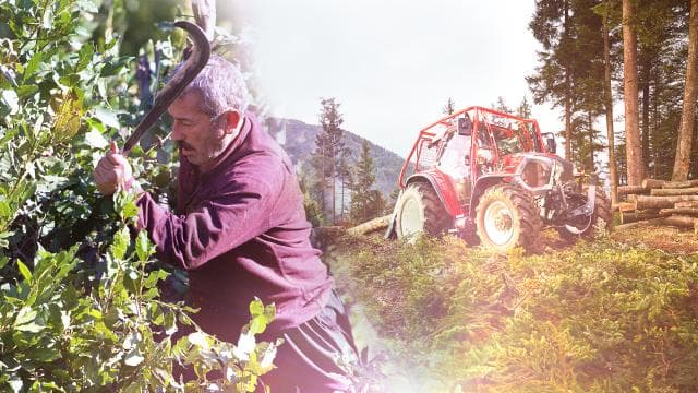 Orman köylüsü ailelere 2,55 milyar lira destek sağlandı