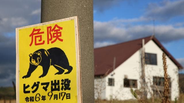 Japonya'da bir fabrikaya giren ayının pencereyi açıp kaçtığı düşünülüyor