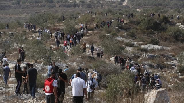 İşgalci İsrail Maliye Bakanı: Batı Şeria'da Filistinlilere ait 3 bin ağacı söktük