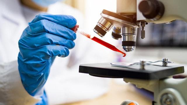 Türkiye'den 90 üniversite dünya bilim sıralamasına girdi