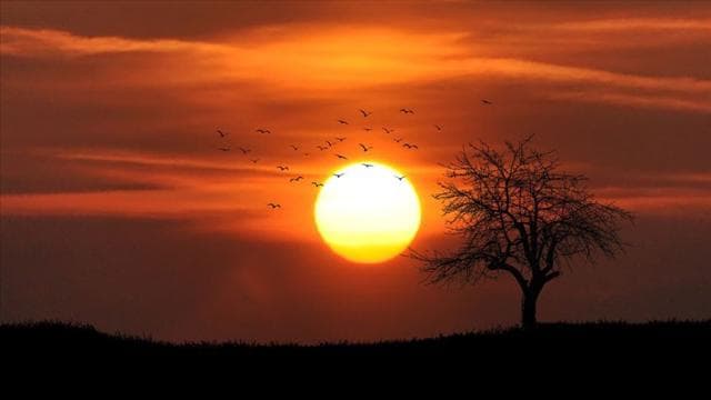 Kayıtlara göre, son 11 yıl tarihin en sıcak yılları oldu