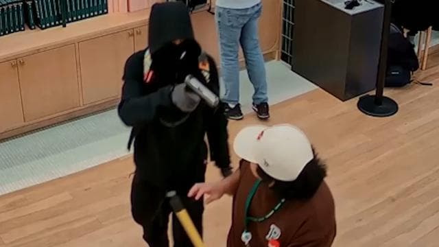 Pokemon mağazasında 100 bin dolarlık hırsızlık