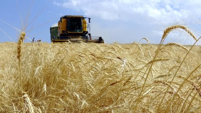 Çiftçilere tarımsal destekleme ödemesi yarın yapılacak