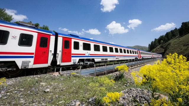 TCDD, tren yollarında otla mücadele için ilaçlama yapacak