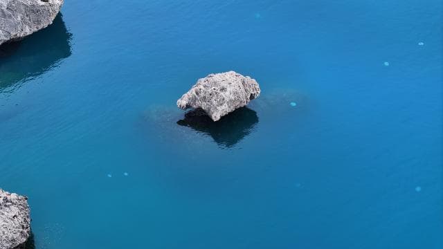 Antalya Körfezi'nde denizanası yoğunluğu yaşanıyor