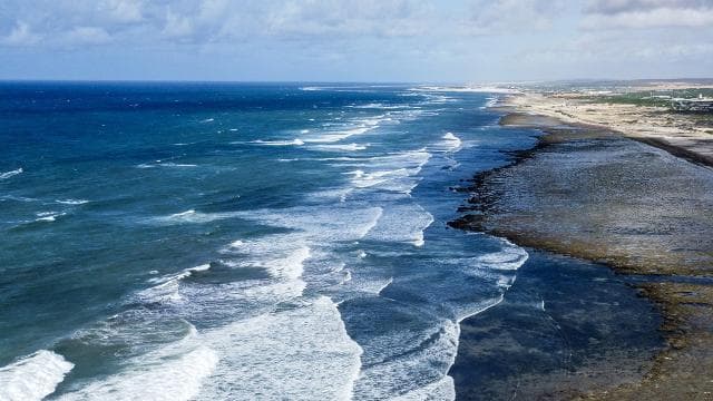 Türkiye, Hint Okyanusu Ton Balığı Komisyonu nezdinde gözlemci ülke oldu