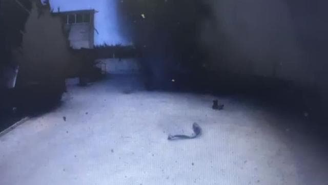 Tekirdağ'da yağ fabrikasındaki patlamanın görüntüsü ortaya çıktı