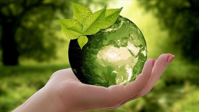 COP31 Türkiye için denizlerde işbirliği ve sıfır karbon fırsatları sunuyor