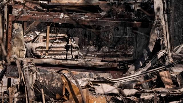 ABD'nin Georgia eyaletinde orman yangınlarında 120'den fazla ev kül oldu