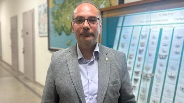 İstanbul'daki çam kese tırtılları alerjik reaksiyonlara neden olabiliyor