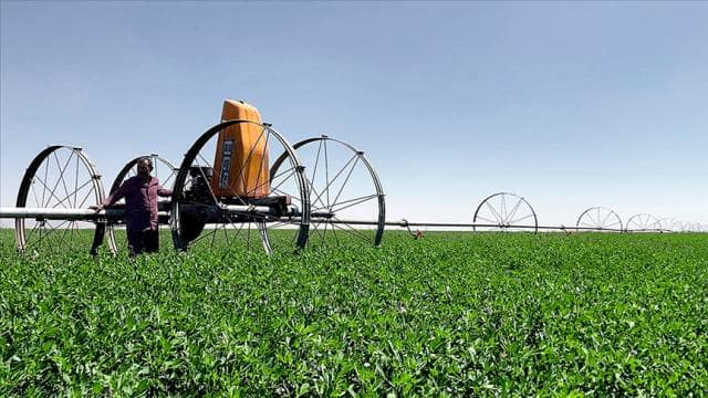 Kırsal Kalkınma Yatırım Programı 2026 başvuru dönemi başladı