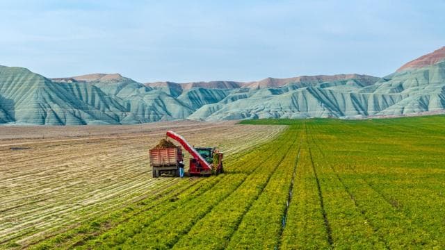 Ankara ve Aydın'da arazi toplulaştırma çalışmaları yapılacak