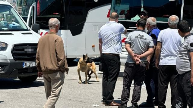 Elazığ'da köpek saldırısında bir kadın yaralandı