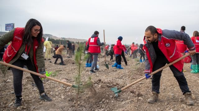 Hastaya Kan, Ormana Can projesiyle 4,7 milyon fidan dikildi