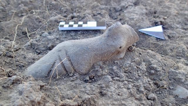 Kanlıtaş Höyüğü'nde bulunan figürinler Neolitik dönemi aydınlatıyor