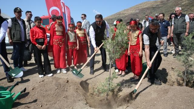 Hatay'da orman yangınında zarar gören alanlar fidanlarla yeşeriyor