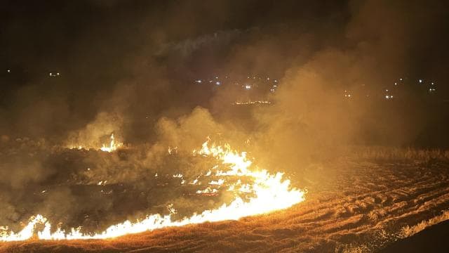 Şanlıurfa'da anız yakan 303 kişiye 21,2 milyon lira ceza verildi