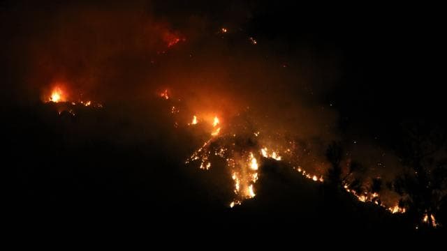 Kaş'taki orman yangınına müdahale devam ediyor