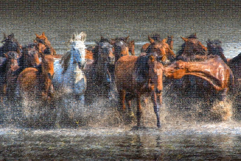 Kapadokya’dan Karanlık Odaya: “Vahşi ve Özgür”