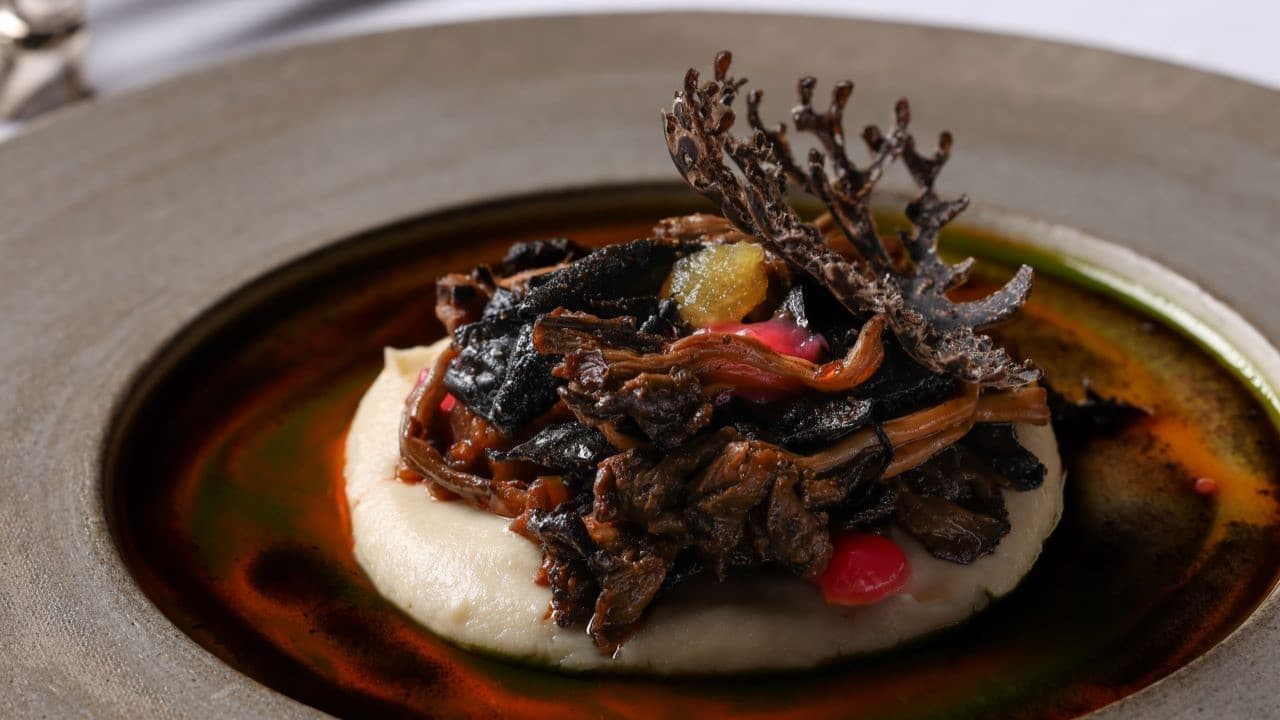 Yaşam bahçesinde döngüsel yolculuk