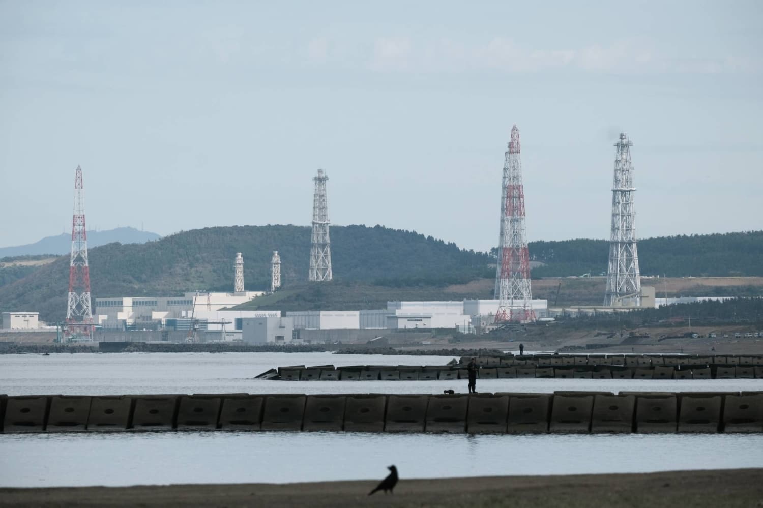 Tepco to postpone restart of Kashiwazaki-Kariwa nuclear reactor