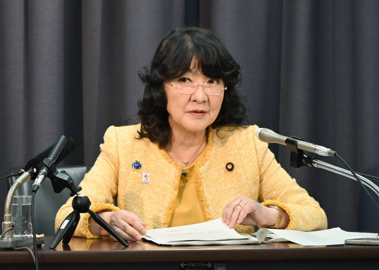 Japan Lower House dissolution to delay budget passage