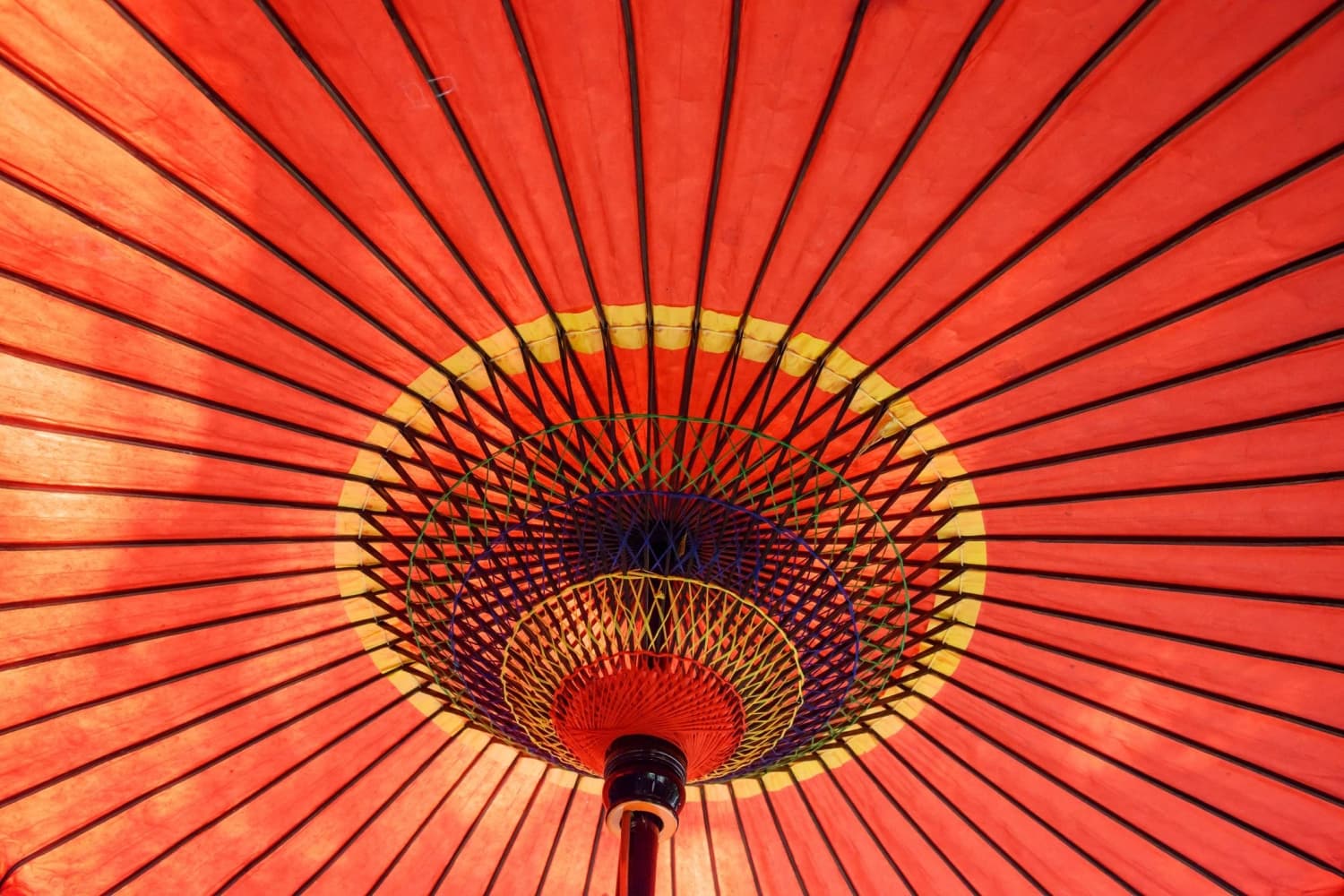 The long, humble history of the umbrella