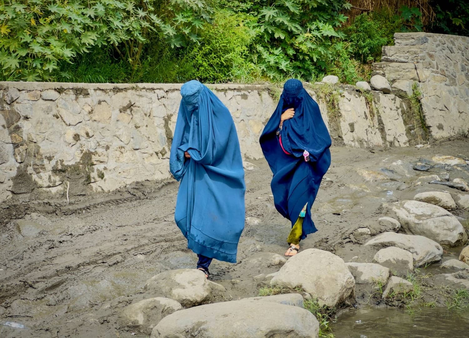 Rituals of resilience: How Afghan women stay sane in their ‘cage’