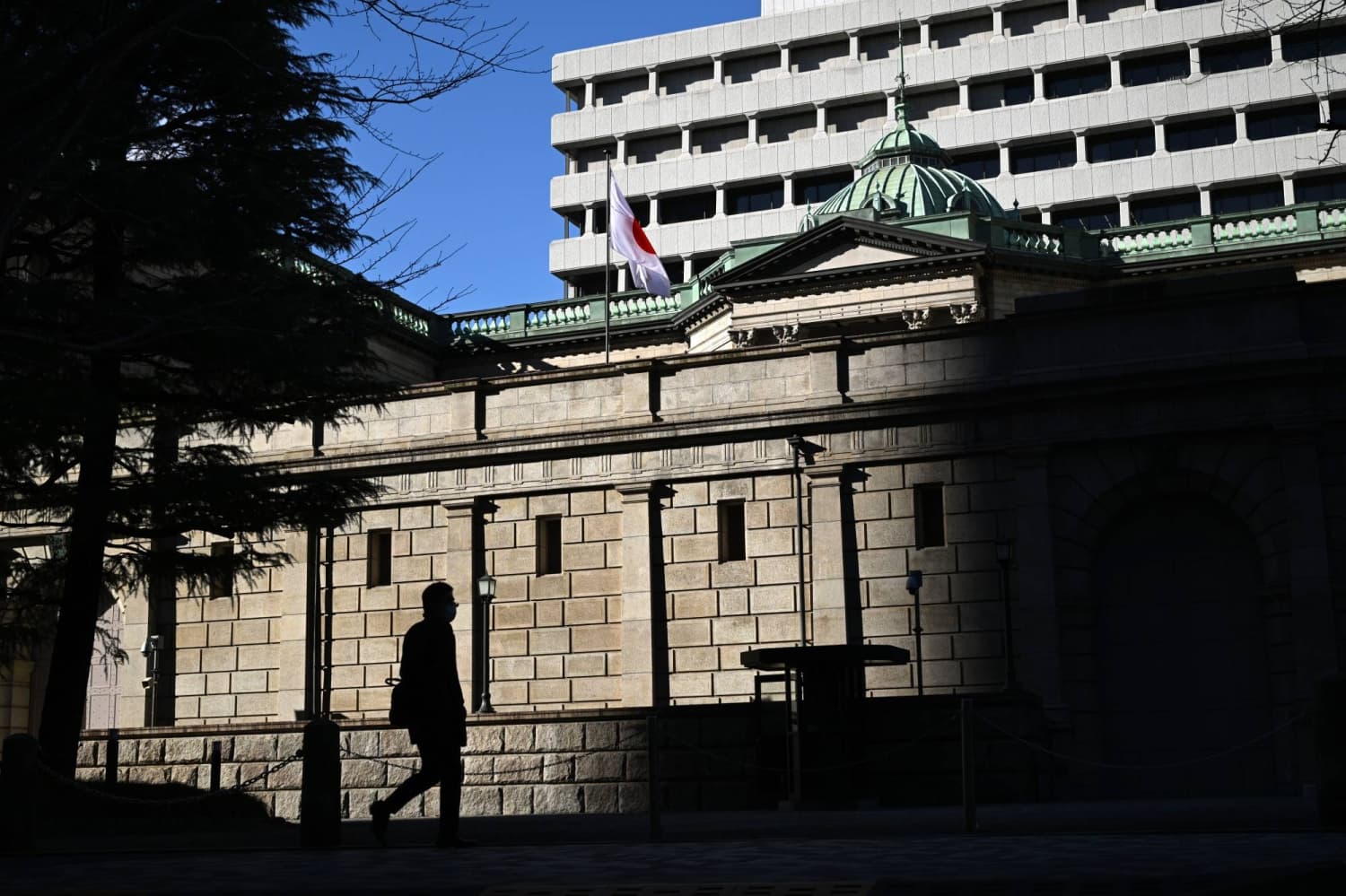 Japan Lower House OKs two reflationists as BOJ policymakers